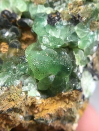 RARE CUPRIAN SMITHSONITE CRYSTALS FROM TSUMEB MINE,  NAMIBIA 3