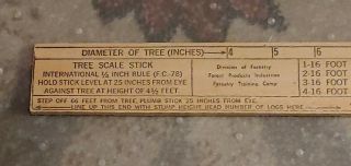 Rare Early Division Forestry Service Tree/log Scale Stick Pre - Owned