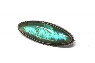 A Bright Antique Art Deco Sterling Silver 925 Butterfly Wing Oval Brooch 26698