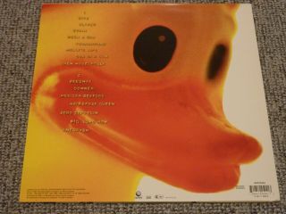 NIRVANA - Incesticide - Rare 1st Press 1992 LP,  Inner - GEF24504 - A1/B1 EX/VG, 2