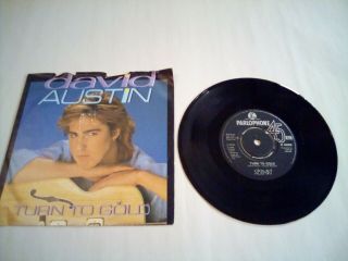 David Austin Turn To Gold 7 " Inch Vinyl Record Single R 6068 Very Rare Vg,