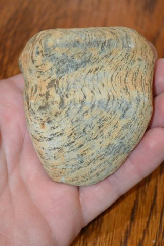 Rare Gneiss Archaic Full Grooved Axe Spencer Co,  In 3.  1/8 X 2.  75 Colorful
