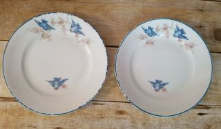 Two Antique 1921 Homer Laughlin Empress Bluebirds Bread And Butter Plates