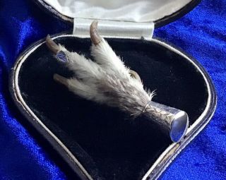 Antique Victorian Silver Mounted Scottish Ptarmigan Claw Brooch/pin Hunting
