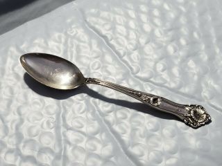 Morning Glory By Alvin Sterling Silver Teaspoon,  5 3/4 " 5.  75 "