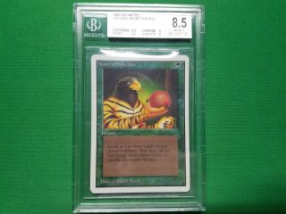 Mtg X1 Natural Selection Unlimited Bgs Graded 8.  5 (8.  5,  8.  5,  9,  9) Near