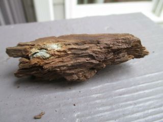 Civil War Dug Bullet In Wood Relic
