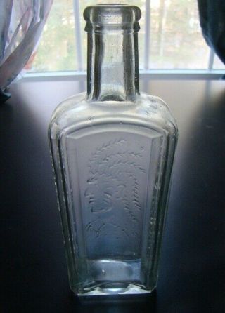 Antique Light Green HEALY & BIGELOW INDIAN SAGWA Pictorial Medicine Bottle 2