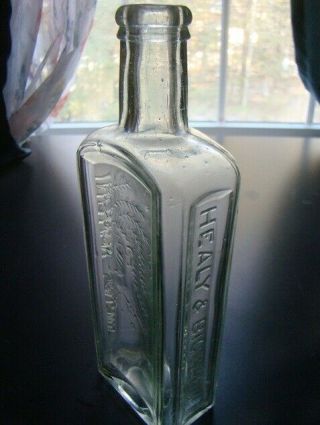 Antique Light Green HEALY & BIGELOW INDIAN SAGWA Pictorial Medicine Bottle 3