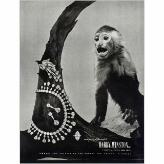 1951 Harry Winston: Rare Jewels Of The World Vintage Print Ad