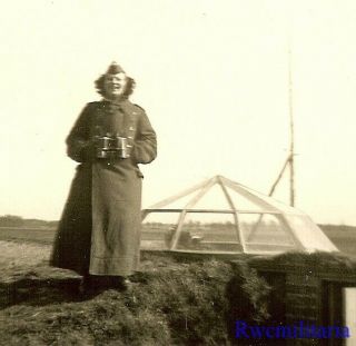 Rare Female Luftwaffe Helferin Blitzmädel Girl On Watch By Glass Cupola