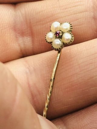 Antique Georgian Ct Gold Stick Pin Forget Me Not Seed Pearls Ruby Rare 1820 - 30