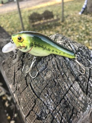 Color Vintage Bagley Small Fry Bass Balsa Wood Old Crankbait Fishing Lure