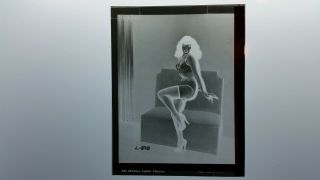 Bettie Page Irving Klaw Printing Negative 4x5 Rare Vintage From Klaw Estate