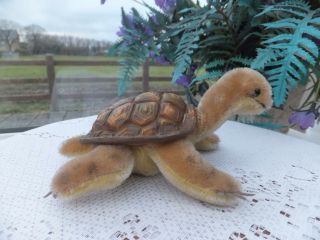 Vintage German Steiff Mohair Toy Slo Tortoise Turtle With Realistic Rubber Shell