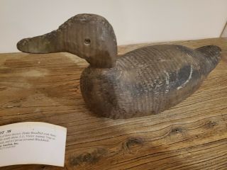 Vintage/antique Blackduck - Duck Decoy - Victor Animal Trap Co.  South Bay