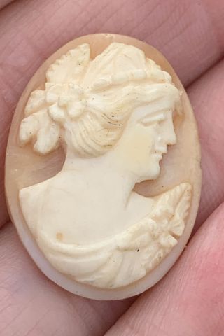 Antique Loose Hand Carved Cameo Shell Estate