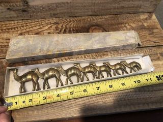 Antique In Rare Box Set Of 7 Solid Brass Camels Graduates Sizes 2 - 1/2”