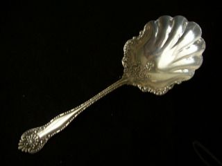 Wm Rogers York 1900 Berry/casserole/salad Spoon 9 " Fluted Bowl Sp