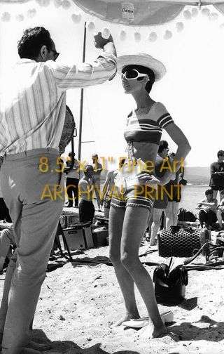 Rare Audrey Hepburn Two For The Road Professional Archival Photo (8.  5 " X 11 ")