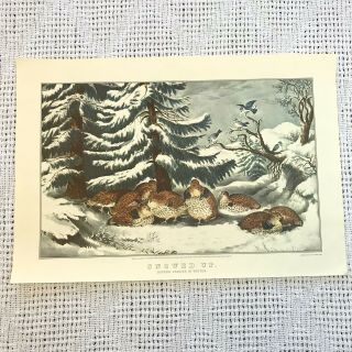 Vintage Currier And Ives Print Snowed Up Ruffe Grouse 16x11 Travelers Insurance