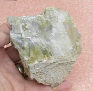 Verey Large Mineral Specimen Of Kurnakovite From Kern Co. ,  California