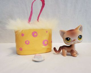Littlest Pet Shop 19 Cat Kitten Green/yellow Eyes W/purse Rare See Notes