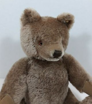 Vintage Steiff Mohair Teddy Bear Button In Ear 13 " Tall