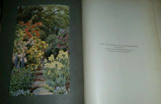 Garden Trees and Shrubs Walter P Wright Antique Hardcover Book with Color Plates 2