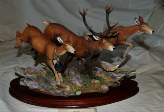 Rare Large Border Fine Arts Ltd Edition Figurine " Highland Chase " Red Deer Stag.