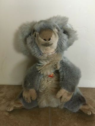 Steiff Molly Koala Bear Knopf Im Ohr Sitting 12 Inches Adorable