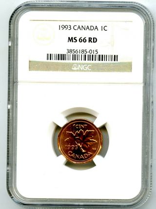 1993 Canada One Cent Ngc Ms66 Rd Copper Penny Uncirculated Extremely Rare