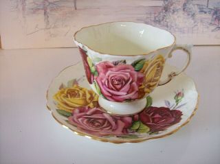 Vintage Rare Aynsley Tri Color Cabbage Roses Cup And Sauceer