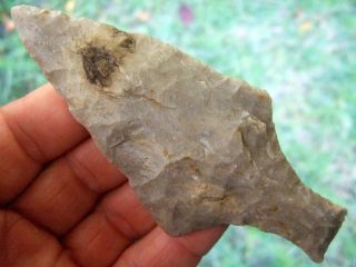 Rare Fine 4 5/8 Inch Ohio Ashtabula Point With Dual S Arrowheads Artifacts