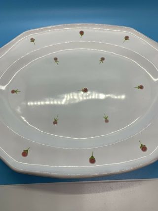 Cantagalli Firenze Oval Serving Platter Plate Pink Floral Italy RARE 3