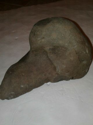 Ancient Bird Rock Effigy - Native American Artifact Stone Tool - Rare - Rock Art