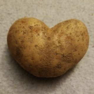 ❤ Almost Perfect Love Heart Shaped Potato Very Rare Unusual Collector 