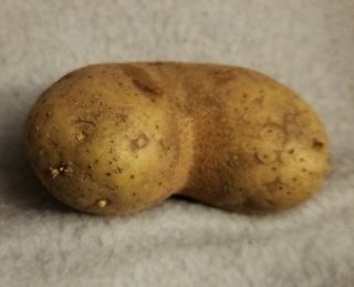 ❤ Almost Perfect Love Heart Shaped Potato Very Rare Unusual Collector ' s Item ❤ 3