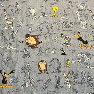 Rare Vintage 1996 Looney Tunes Twin Bed Comforter,  Flat Sheet And Pillow Case