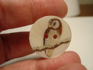 Antique Vintage Shell/mop Owl On Branch Last One Button