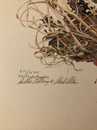 Sallie Ellington Middleton Art Print Carolina Chickadee 24x18 Bird Rare Signed 3