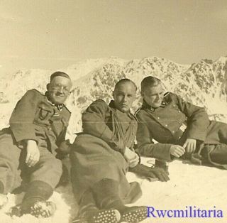 Rare Trio German Elite Waffen Soldiers Posed Laying In Snow On Mountain