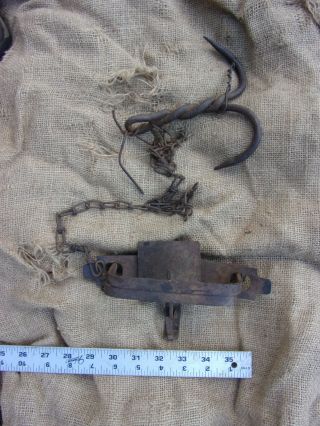 Unique Vintage Antique Coyote Beaver Animal Trap Forged Drag Blacksmith Made?