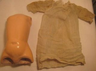 Old German Paper Mache / Composition Doll Body Part 8 "