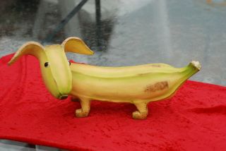 Rare,  Unusual Enesco Home Grown Banana Dog Collectible Figurine