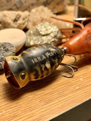 Vintage Arbogast Hula Popper Fishing Lure In Awesome Color Tail