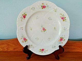 Very Rare Shelley Rose & Red Daisy 13425 Dainty 10.  75 " Dinner Plate.  6 Available