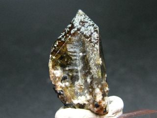 Rare Titanite Sphene Crystal From Tanzania - 1.  3 " - 55.  8 Carats