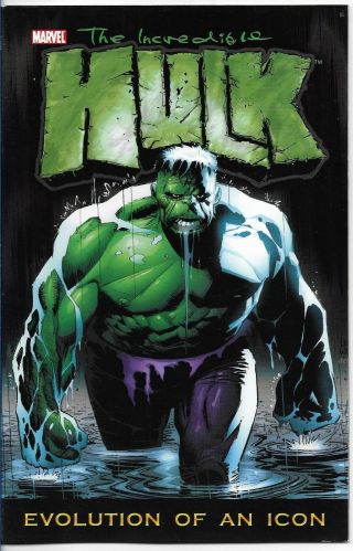 Marvel The Incredible Hulk Evolution Of An Icon Rare Promotional Pin - Up Comic