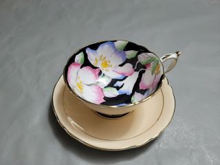 Rare Paragon Tea Cup & Saucer Floral G9655